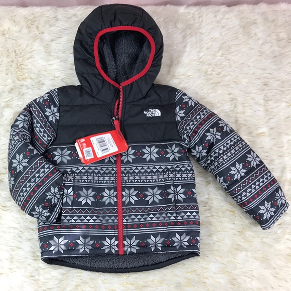 north face men's chimborazo jacket